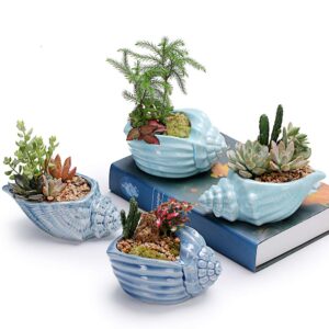 SUN-E 5.5 Inch Blue Conch Ocean Series Ceramic Base Serial Set Succulent Plant Pot Cactus Plant Pot Flower Pot Container Planter with Drainage Hole Gift Idea 4 in Set(Plants Not Included)