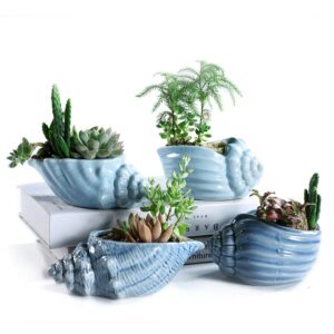 SUN-E 5.5 Inch Blue Conch Ocean Series Ceramic Base Serial Set Succulent Plant Pot Cactus Plant Pot Flower Pot Container Planter with Drainage Hole Gift Idea 4 in Set(Plants Not Included)