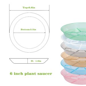 Afrine 6 Pack Plant Saucer Drip Tray, 4 5 6 8 9 10 12 14 16 18 inch, Heavy Sturdy Plastic Planter Flower Pot Saucers for Indoor Outdoor Garden, Plant Water Drip Trays for pots Base (6", Clear)