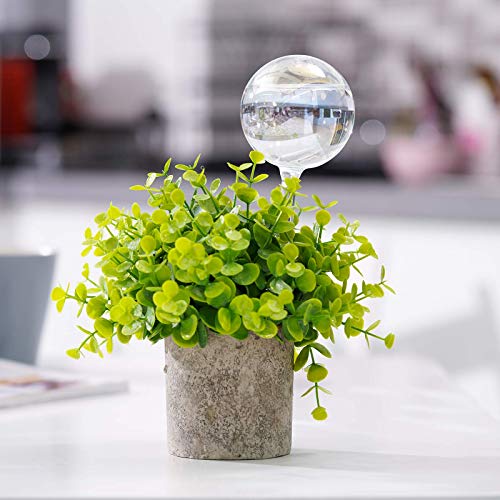 [2 PCS] Light Iridescent Rainbow Gradient Color Clear Glass Self-Watering System Spikes, Aqua Globes Automatic Plant Waterer Bulbs