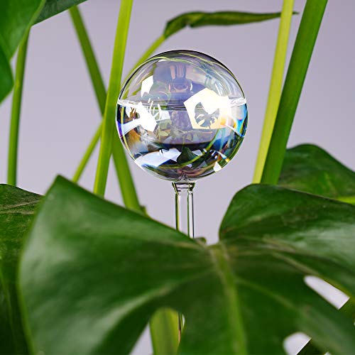 [2 PCS] Light Iridescent Rainbow Gradient Color Clear Glass Self-Watering System Spikes, Aqua Globes Automatic Plant Waterer Bulbs