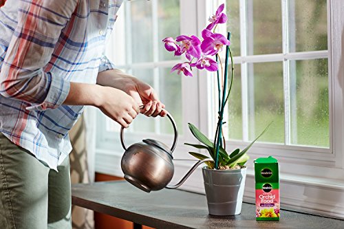 Miracle-Gro Water Soluble Orchid Food, Plant Fertilizer, 8 oz.