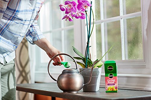 Miracle-Gro Water Soluble Orchid Food, Plant Fertilizer, 8 oz.