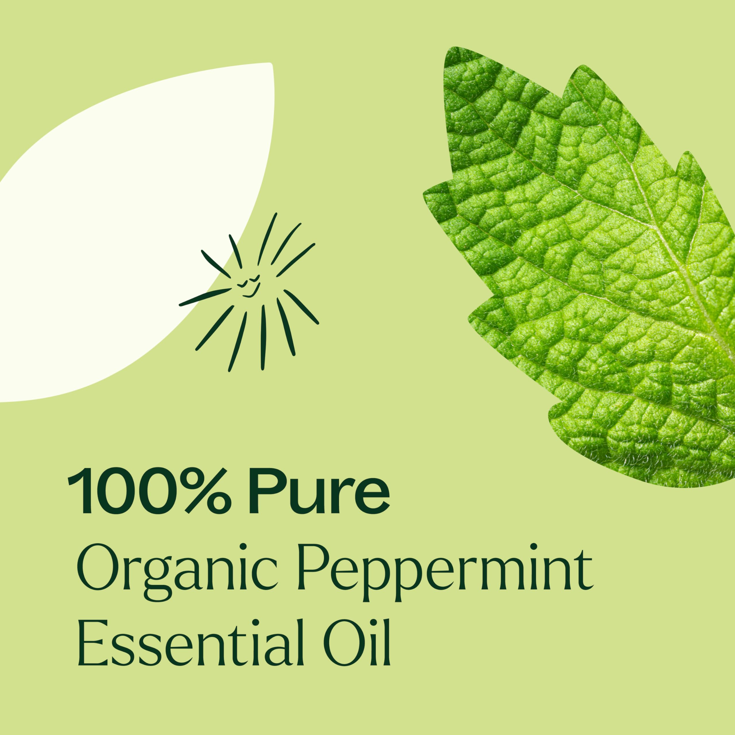 Plant Therapy Organic Peppermint Essential Oil 100% Pure, USDA Certified Organic, Undiluted, Natural Aromatherapy, for Diffuser, Skin, Hair, Therapeutic Grade 10 mL (1/3 oz)