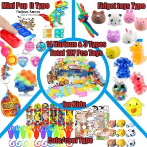 Leeche Premium Pop Party Favors Toys for kids,107PCS Prize Box Toys for All Ages kids,Birthday Party, School Classroom Rewards, Carnival Prizes, Pinata Fillers, Treasure Chest, Goody Bag Fillers