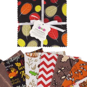 Soimoi Precut 10-inch Autumn Fall Theme Prints Cotton Fabric Bundle Quilting Squares Charm Pack DIY Patchwork Sewing Craft- Multicolor