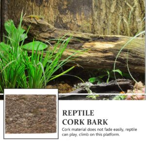 Ipetboom Reptile Tree Bark Lizard Climbing Platform Botanical Decor Plant Decorations Leopard Gecko Costume Snake Hiding Place Reptile Bark Platform Turtle Climbing Bark Natural Animal Cork