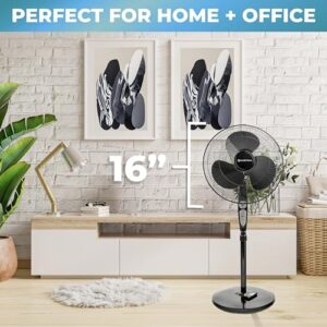 Comfort Zone Oscillating Pedestal Fan with Remote Control, Stand Fan, 18 inch, 3 Speed, Adjustable Height & Tilt, & Timer, Auto Shutoff, Ideal for Home, Bedroom & Office, Airflow 17 ft/sec, CZST181RBK