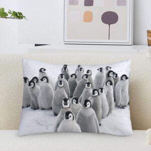 Yekiua Funny Penguin Throw Pillow Covers Antarctic Snow Cold Cute Animal Pillowcase Pillow Shams Cushion Case Single Side Printing 20X26 Inches Standard Size