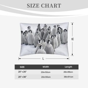 Yekiua Funny Penguin Throw Pillow Covers Antarctic Snow Cold Cute Animal Pillowcase Pillow Shams Cushion Case Single Side Printing 20X26 Inches Standard Size