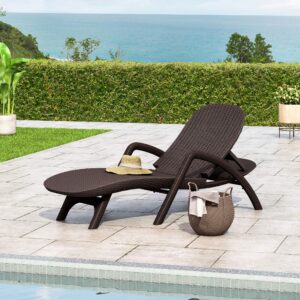 Christopher Knight Home Blanche Outdoor Faux Wicker Chaise Lounge, Dark Brown