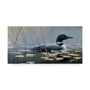 loon in reeds by wilhelm goebel, 12x24-inch