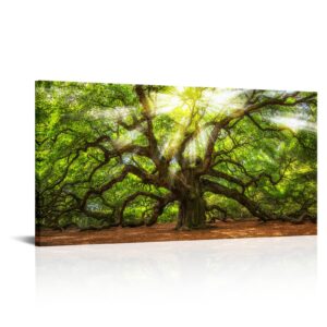 Conipit Landscape Canvas Artwork Angel Oak Tree Picture Prints Sunshine Through Tree Canvas Green Oak Tree Painting South Carolina Tree Print Framed and Stretched Nature Canvas (W-40xH-20)