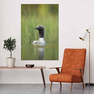 Black Throated Loon Birds Canvas Poster Bedroom Decor Sports Landscape Office Room Decor Gift,Canvas Poster Wall Art Decor Print Picture Paintings for Living Room Bedroom Decoration 8x12inchs(20x30cm)