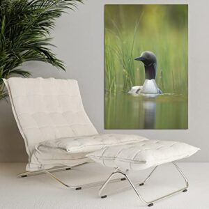 Black Throated Loon Birds Canvas Poster Bedroom Decor Sports Landscape Office Room Decor Gift,Canvas Poster Wall Art Decor Print Picture Paintings for Living Room Bedroom Decoration 8x12inchs(20x30cm)