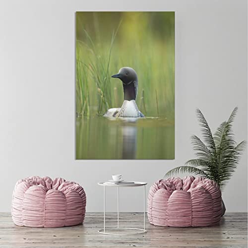 Black Throated Loon Birds Canvas Poster Bedroom Decor Sports Landscape Office Room Decor Gift,Canvas Poster Wall Art Decor Print Picture Paintings for Living Room Bedroom Decoration 8x12inchs(20x30cm)