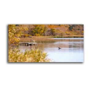 large wall art loon on a lake painting poster print on canvas artwork for living room bedroom stretched and framed ready to hang 20”x40”