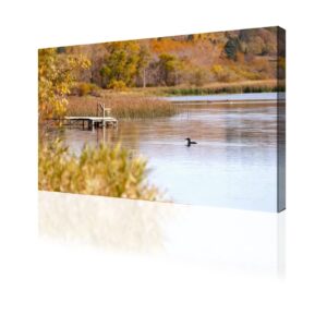 Large Wall Art Loon on a Lake Painting Poster Print on Canvas Artwork for Living Room Bedroom Stretched and Framed Ready to Hang 20”x40”