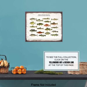 Vintage Rustic Fish Wall Art Decor Poster Print - Freshwater Bass, Trout Fishing Picture for Lake House, Cabin - Boho Shabby Chic Farmhouse Style Sign Plaque Replica - Gift for Fisherman - Unframed