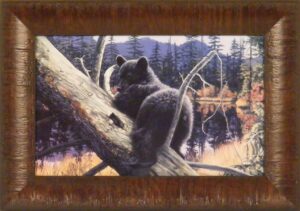 resting place by liz mitten ryan 11x15 bear cub in tree framed art print wall décor picture