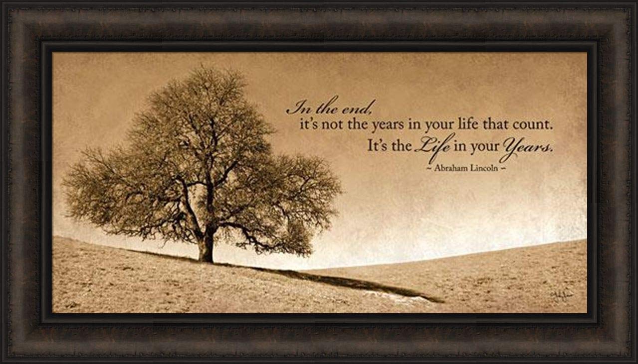 Home Cabin Décor Life in Your Years by John Jones 16x28 Sepia Photograph Tree Landscape Abraham Lincoln Quote Inspirational Framed Art Print Picture