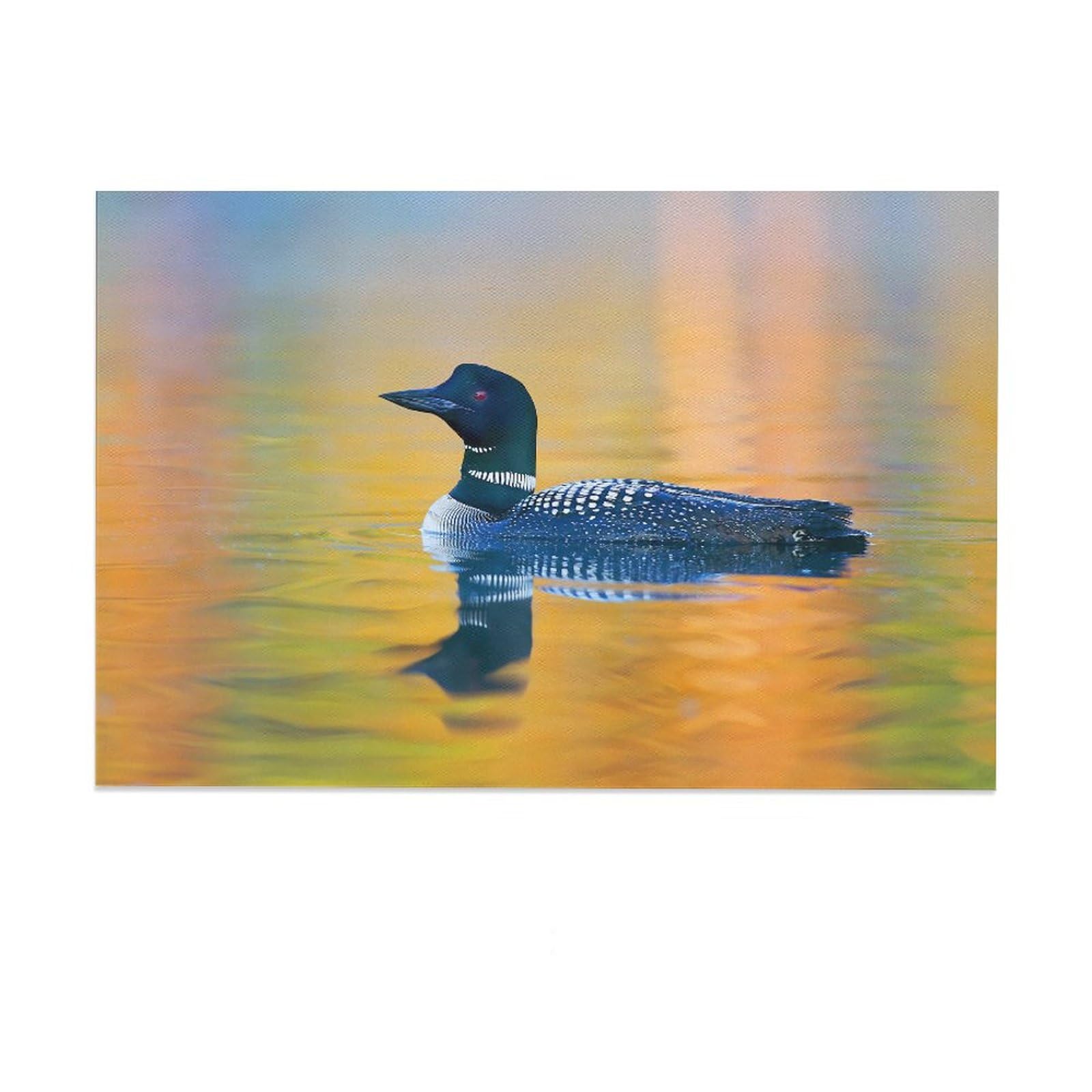 Rainbow Lake Common Loon Duck Canvas Poster Bedroom Decor Sports Landscape Office Room Decor Gift,Canvas Poster Wall Art Decor Print Picture Paintings for Living Room Bedroom Decoration 08x12inch(20x3