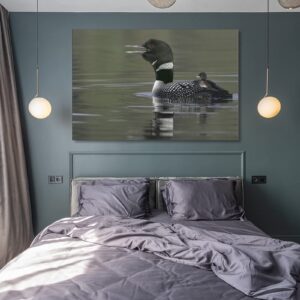 Common Loon with Chick on Water Back Call Picture Poster Wall Decoration Poster in Kamloops, British Canvas Painting Wall Art Poster for Bedroom Living Room Decor 08x12inch(20x30cm) Unframe-style