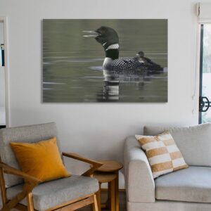 Common Loon with Chick on Water Back Call Picture Poster Wall Decoration Poster in Kamloops, British Canvas Painting Wall Art Poster for Bedroom Living Room Decor 08x12inch(20x30cm) Unframe-style