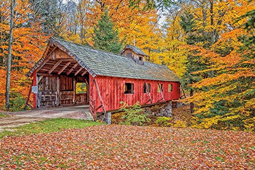 Posterazzi PDXPOD60790LARGE Loon Song Covered Bridge Photo Print, 36 x 24, Multi