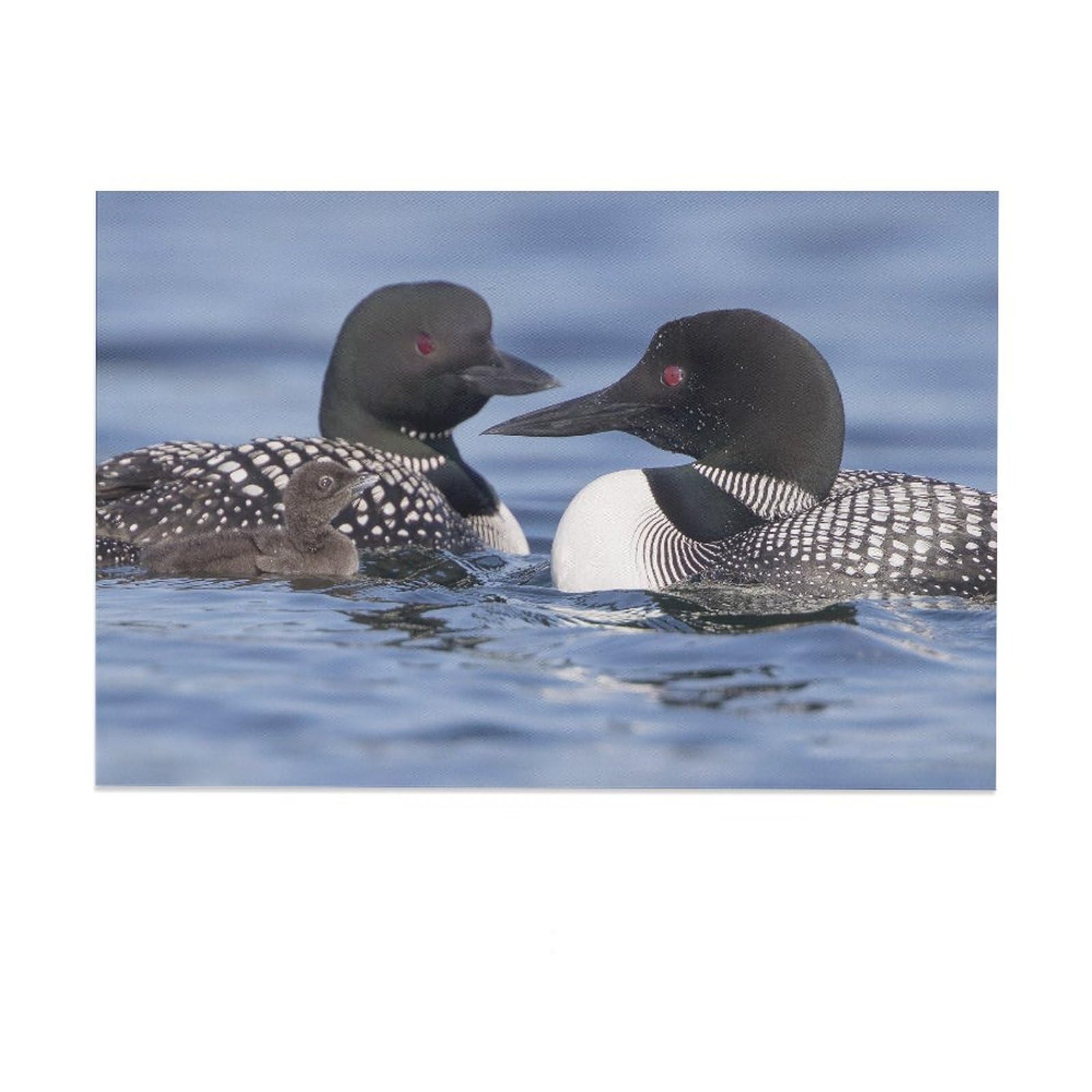 Common Loon Baby Bird Family Canvas Poster Bedroom Decor Sports Landscape Office Room Decor Gift,Canvas Poster Wall Art Decor Print Picture Paintings for Living Room Bedroom Decoration 08x12inch(20x30