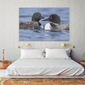 Common Loon Baby Bird Family Canvas Poster Bedroom Decor Sports Landscape Office Room Decor Gift,Canvas Poster Wall Art Decor Print Picture Paintings for Living Room Bedroom Decoration 08x12inch(20x30