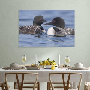 Common Loon Baby Bird Family Canvas Poster Bedroom Decor Sports Landscape Office Room Decor Gift,Canvas Poster Wall Art Decor Print Picture Paintings for Living Room Bedroom Decoration 08x12inch(20x30