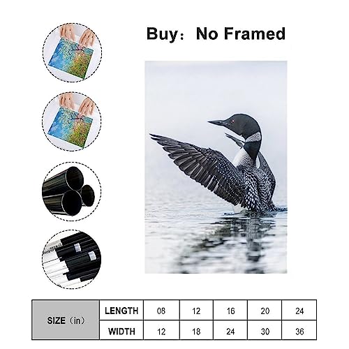 Loon Bird Wings Beautiful Canvas Poster Bedroom Decor Sports Landscape Office Room Decor Gift,Canvas Poster Wall Art Decor Print Picture Paintings for Living Room Bedroom Decoration 8x12inchs(20x30cm)