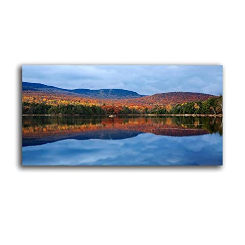 Framed Canvas Wall Art Print On Canvas Loon Lake Pictures Posters Artwork for Living Room Bedroom Ready to Hang Wall Decor 20X40