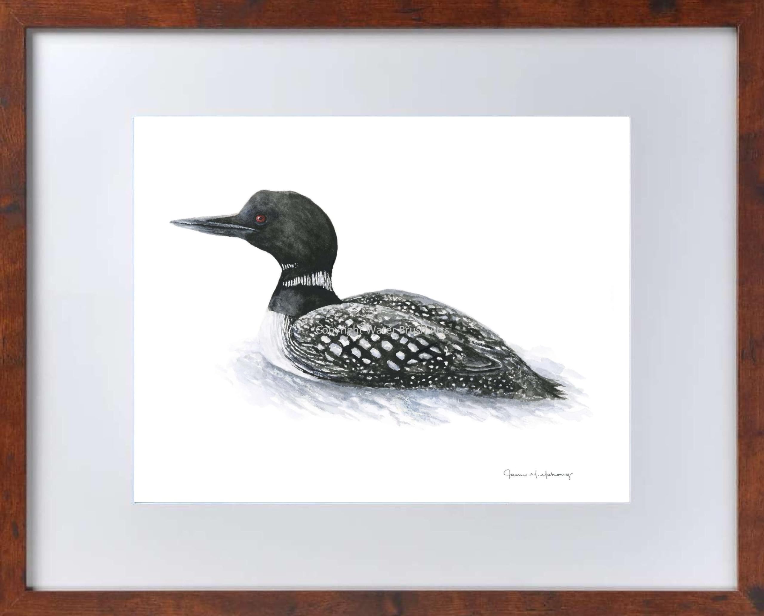 Loon Watercolor Print (8x10 inches)