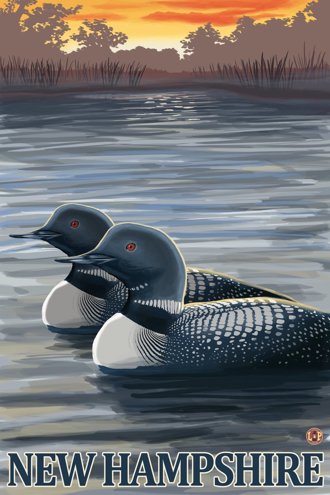 Lantern Press New Hampshire, Common Loon, (24x36 Wrapped Canvas, Wall Decor, Artwork)