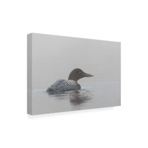 Trademark Fine Art 'Common Loon In Early Morning Fog' Canvas Art by Jim Cumming