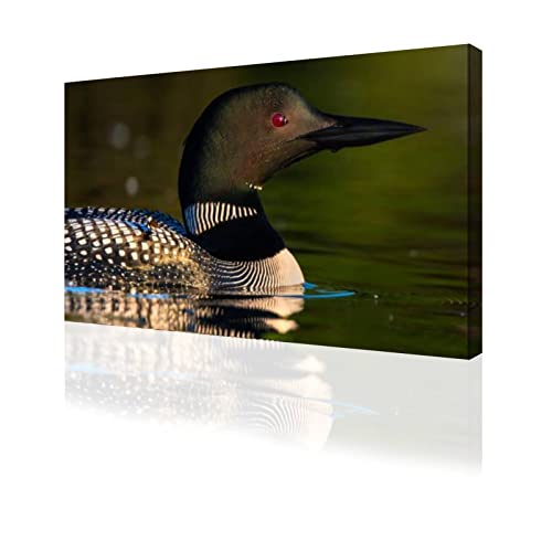 Large Wall Art Loon with red glow in eye Painting Poster Print on Canvas Artwork for Living Room Bedroom Stretched and Framed Ready to Hang 20”x40”