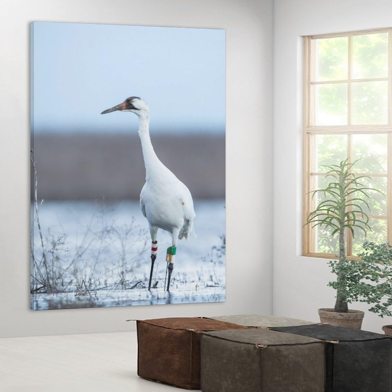 Nature Lake Whooping Crane Bird Canvas Poster Bedroom Decor Sports Landscape Office Room Decor Gift,Canvas Poster Wall Art Decor Print Picture Paintings for Living Room Bedroom Decoration 8x12inchs(20