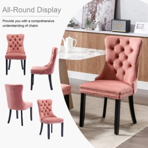 Rhomtree Contemporary Button Tufted Dining Chairs High-end Velvet Upholstered Dining Chairs with Nailhead Back and Ring Pull Trim Wood Kitchen Chairs for Dining Room (Pink 01, Set of 4)