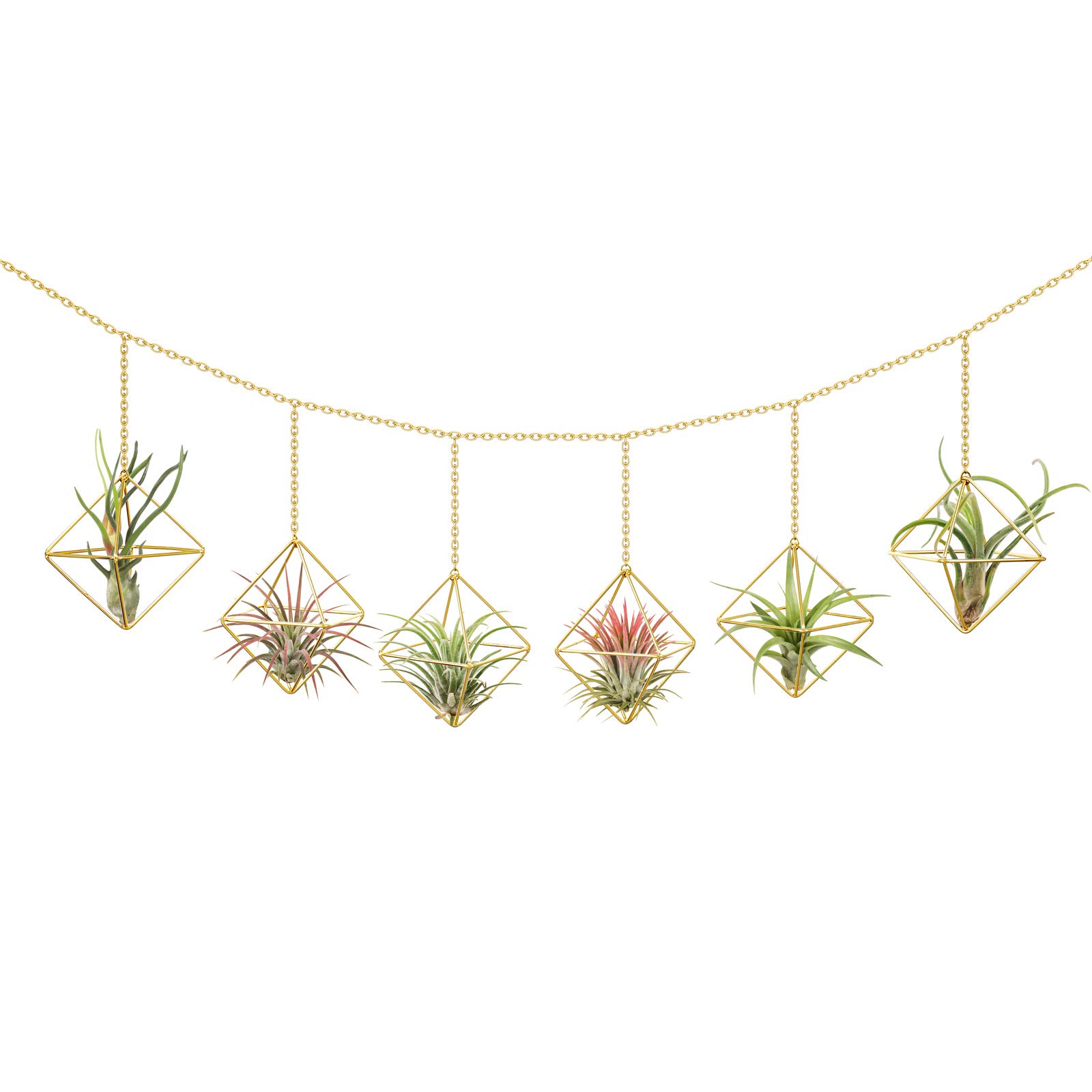 Dahey Gold Geometric Hanging Air Plant Holders - Set of 6 Square Metal Planters with Chains for Indoor Wall Decor