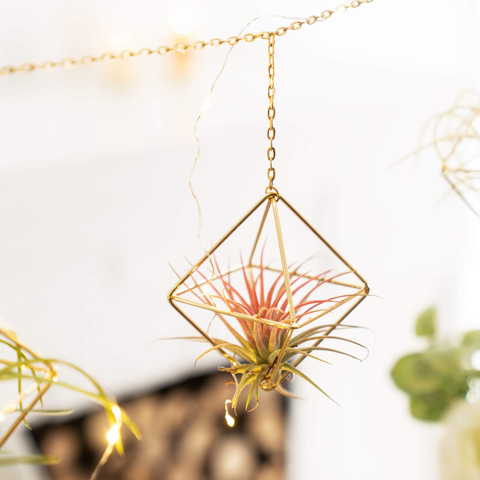 Dahey Gold Geometric Hanging Air Plant Holders - Set of 6 Square Metal Planters with Chains for Indoor Wall Decor