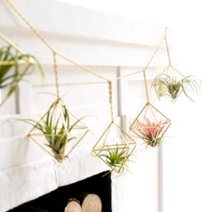 Dahey Gold Geometric Hanging Air Plant Holders - Set of 6 Square Metal Planters with Chains for Indoor Wall Decor