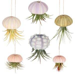 6 Pieces Hanging Sea Urchin Hanging Air Plant Holder Mini Shell Hanging Pot Assorted Colors 6 Styles Cute Succulent Display Container with Rustic Rope for Garden Beach Theme Party for Craft and Decor