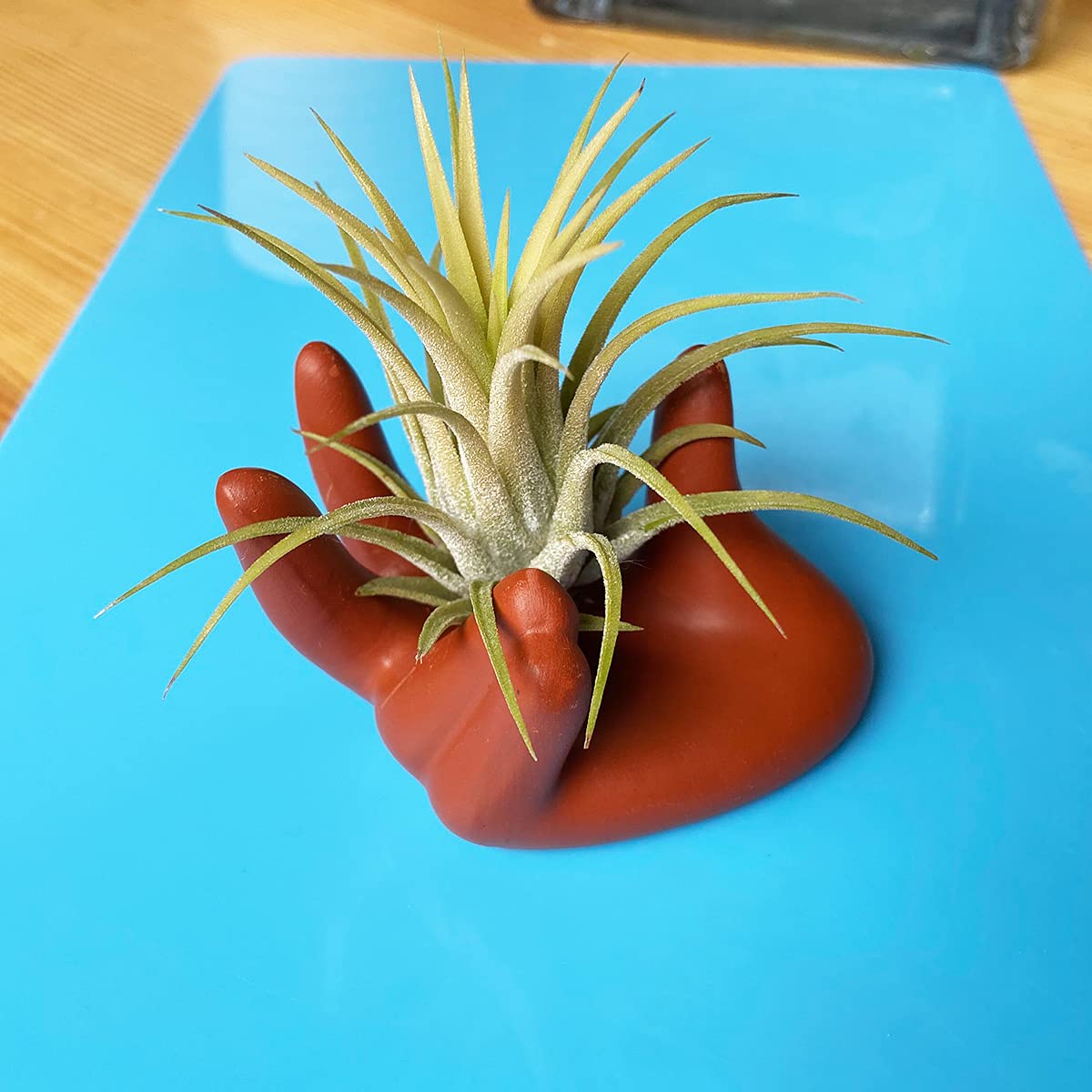 HHHH 3 pcs Air Plant Holder Mini Hand Shape Stand AirPlants Tillandsia Cute Container Pot Plant Display Home Office Decor Desk Table Shelf or Gifts Party Favors, Clay