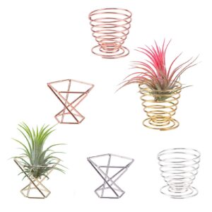 6pcs/Pack Air Plant Holders,Wire Metal Plants Stand Planter Shelves,Airplant Container Tillandsia Holder,Geometric Tabletop Decor for Home Office(Rose Gold+Gold+Silver)