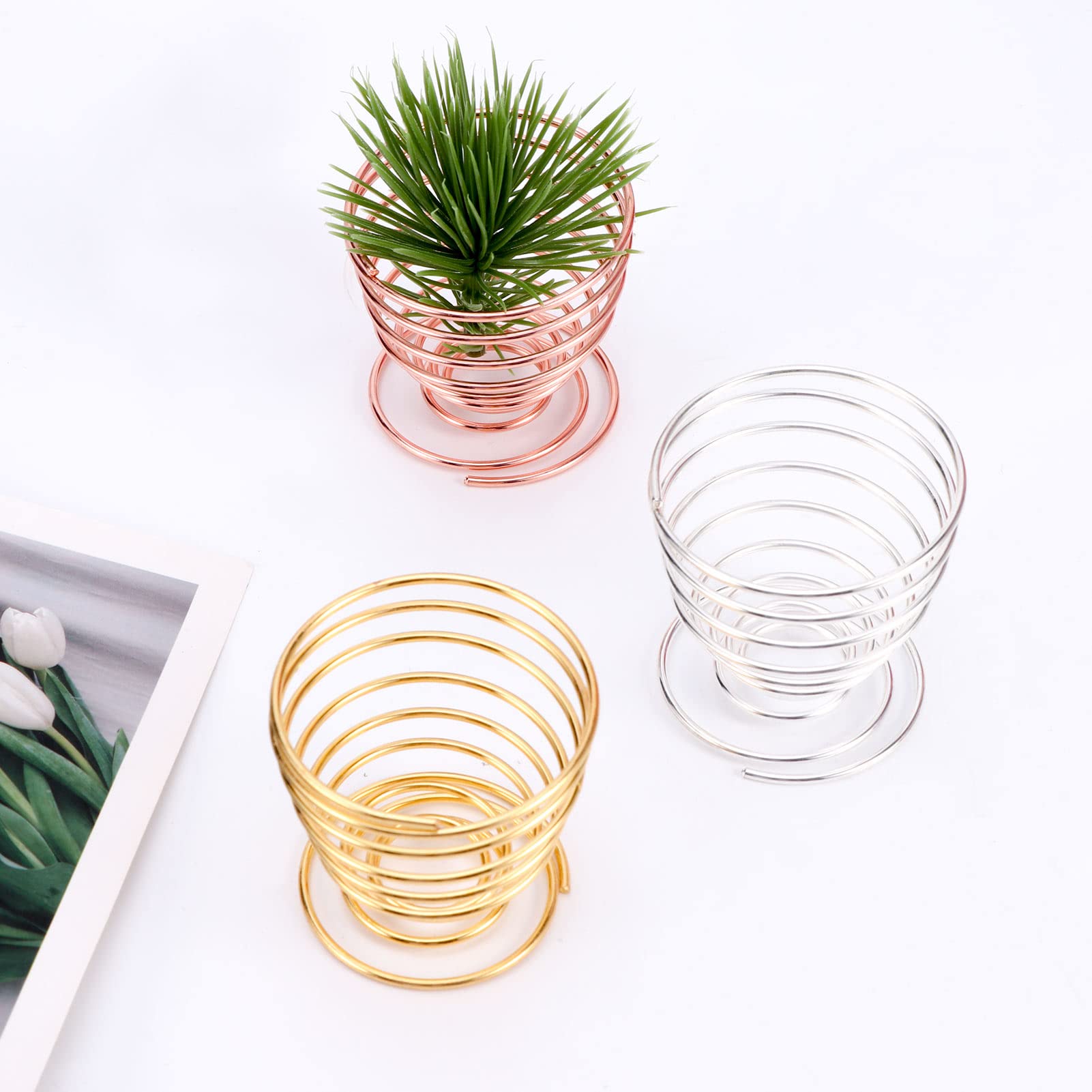 6pcs/Pack Air Plant Holders,Wire Metal Plants Stand Planter Shelves,Airplant Container Tillandsia Holder,Geometric Tabletop Decor for Home Office(Rose Gold+Gold+Silver)