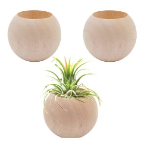 Nwsrayu 3 pcs Wood Air Plant Holder Air Plant Pots Air Plants Display Containers Table Centerpiece Succulent Plants Pot for Home Office Tabletop Decor