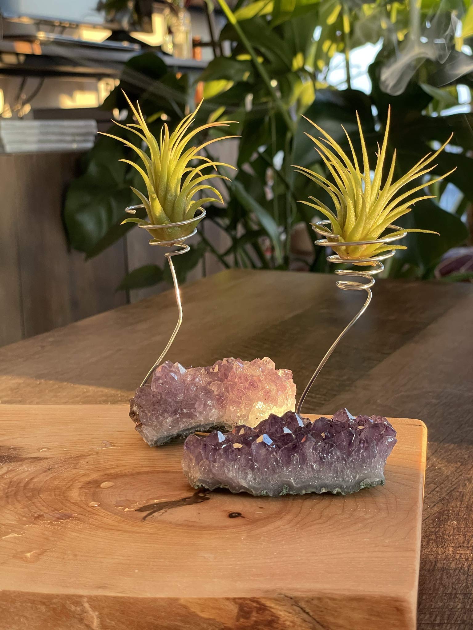 Air Plant Crystal Holder (XL) - Amethyst Airplant, Air Plants Crystals, Crystal Air Plant Holder, Amethyst Air Plant In Crystals, Air Plant Stone, Air Plant Pot, Air Plants in Crystals, TheCrystalCafe