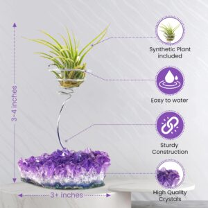 Air Plant Crystal Holder (XL) - Amethyst Airplant, Air Plants Crystals, Crystal Air Plant Holder, Amethyst Air Plant In Crystals, Air Plant Stone, Air Plant Pot, Air Plants in Crystals, TheCrystalCafe